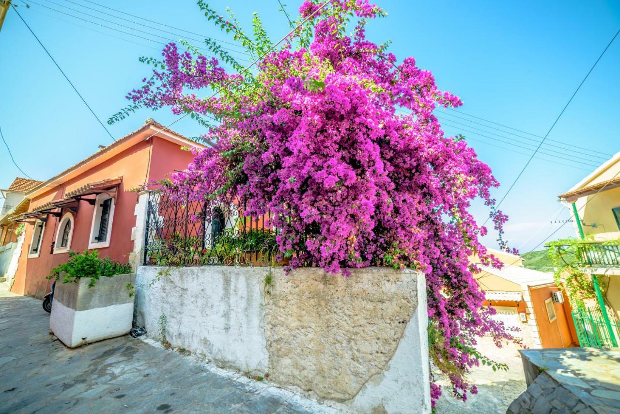 Apartmán Menecrates Rustic Ágios Matthaíos Exteriér fotografie