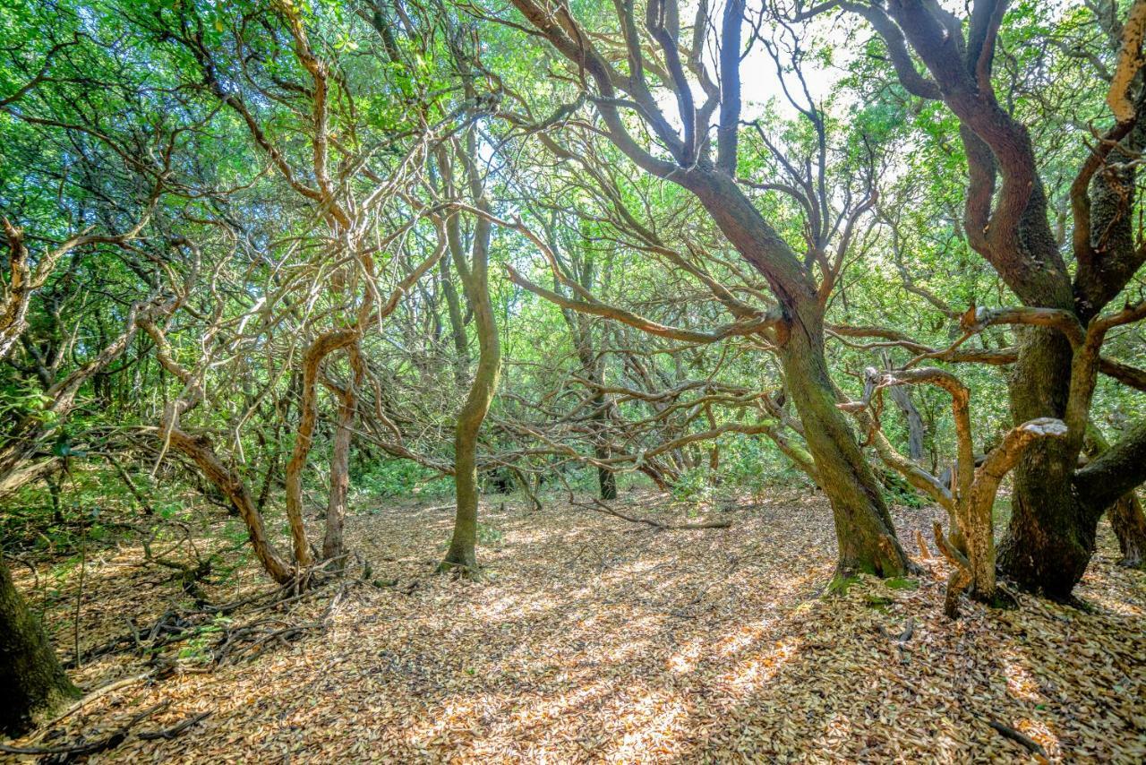 Apartmán Menecrates Rustic Ágios Matthaíos Exteriér fotografie